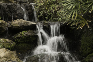 Obraz premium Waterfall in motion