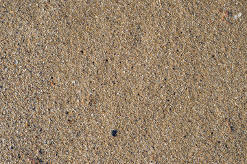 Sand Texture Background. Top View of a Beach or Desert Ground Surface. Close Up Macro