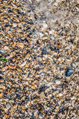 Sand Texture Background. Top View of a Beach or Desert Ground Surface. Close Up Macro