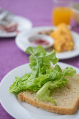 slices of whole grain bread and green oak lettuce