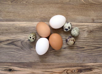 Chicken and quail eggs on wood background