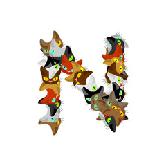 letter N Cat font. Pet alphabet symbol. home animal ABC sign