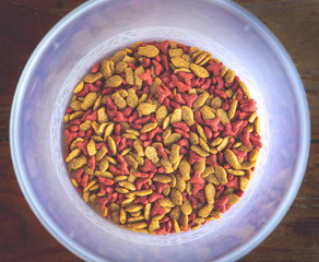 Cat's food on the old wood background.