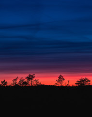 Beautiful twilight colors in the bog