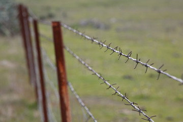 Wire fence detail