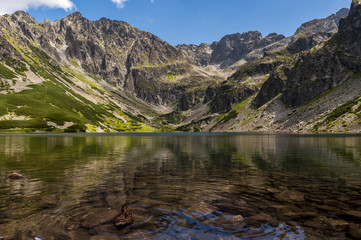 Naklejka na ściany i meble Wonderful landscape of a mountain lake on a summer day
