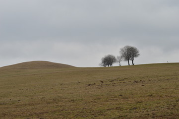 Land wartet auf den Frühling