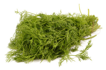 dill on a white background