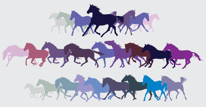 Set of vector colorful running horses silouettes