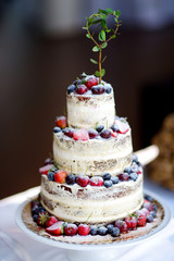 Delicious chocolate wedding cake decorated with fruits and berries