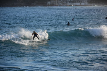 Surf in Bondi Beach