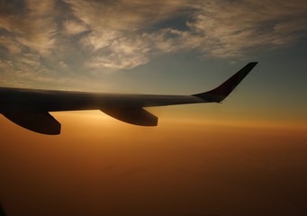 Wing of the Airplane
