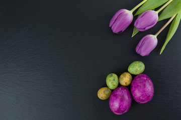 Colorful easter and quail eggs and tulip flowers on stone table. Top view with copy space