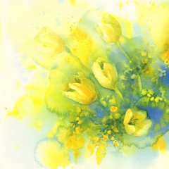 Obraz na płótnie Canvas tulips and mimosa flower watercolor