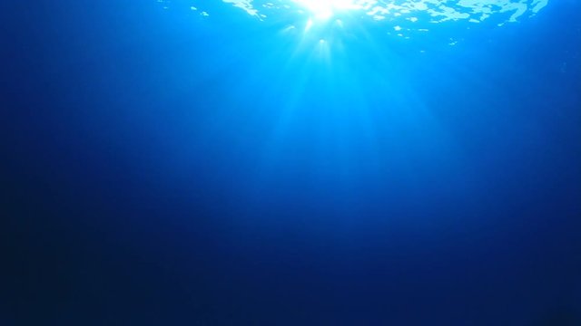 Underwater in ocean