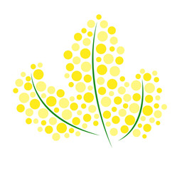 Mimose in flat design