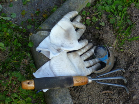 guanti e attrezzi da giardinaggio