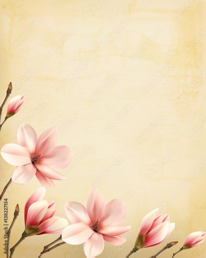 Poster Nature spring background with beautiful magnolia branches on old paper. Vector.