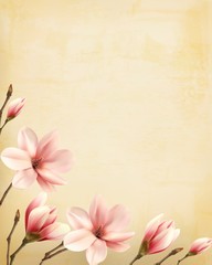 Nature spring background with beautiful magnolia branches on old paper. Vector.