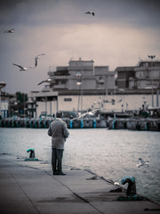 on the pier