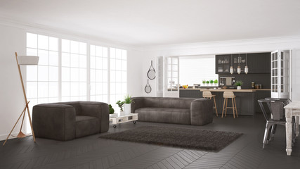 Minimalist white and gray living and kitchen, scandinavian classic interior design