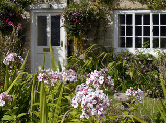 Fototapeta na wymiar Flowers in cottage garden