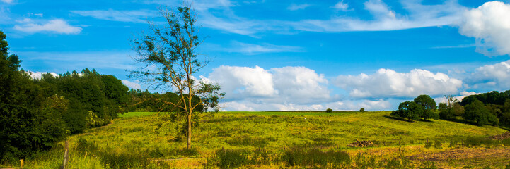 Countryside landscape