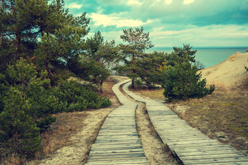 Two wooden pathways in park near sea. Beautiful nature with cloudy dramatic sky in autumn. Pine...