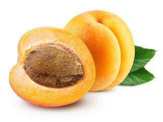 apricot fruits isolated