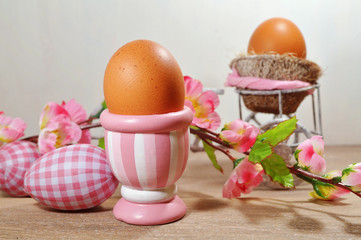 Egg in a eggcup , the Easter breakfast he and background of Easter composition,
