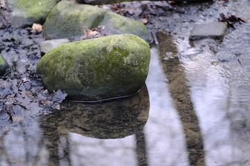 Klosterholz (Hochzeitswald) in Osterholz-Scharmbeck zur Winterzeit