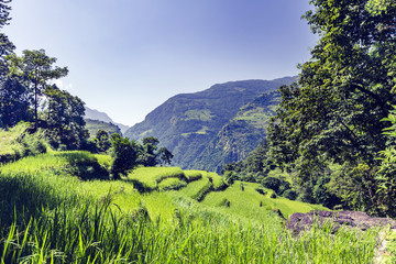 Himalaya Inspirational Landscape Valley view