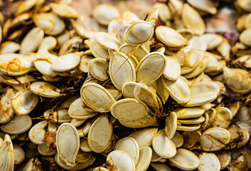 Closeup of dried pumpkin seeds for sowing. Background texture. Concept agriculturally.