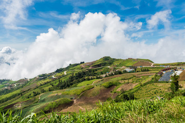 The landscape photo in morning time at Phu Tub Berk Viewpoint, Phu Hin Rong Kla National Park in Thailand.