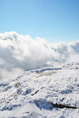 Fototapeta na wymiar Beautiful Snow Winter in Carpathians Mountains, Ukraine 