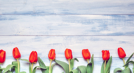 Easter -  Tulips On Blue Board