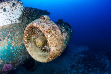 Foto op Canvas Jet engine attached to the fuselage of a plane wreck, deep underwater © whitcomberd