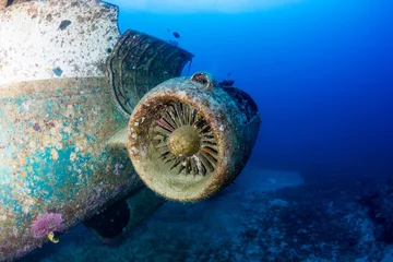 Schilderijen op glas Corroding remains of a jet engine on an underwater aircraft wreck © whitcomberd