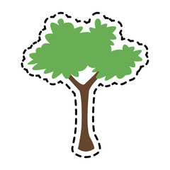 bush plant icon image vector illustration design 