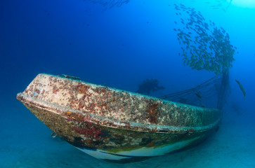Shoals of fish around an underwater wreck