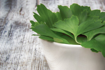 Collected fresh green healing leaves of the Ginkgo biloba tree in a white ceramic bowl of pale Wooden table

