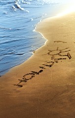 Holiday text written in sand on summer beach.