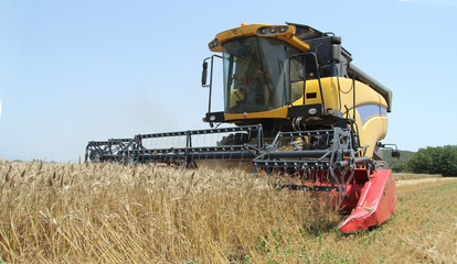 Fototapeta na wymiar tractor and wheat field