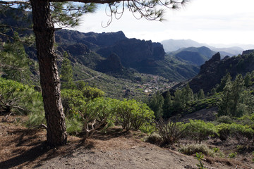 Fototapeta premium Wanderung am Roque Nublo Landschaftspark Parque Rural del Nublo