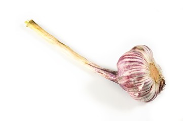 Garlic bulb with long stalk isolated on white background