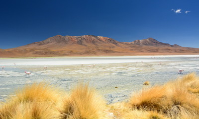 Laguna Hedionda. Andes mountain. Potosí department. Bolivia