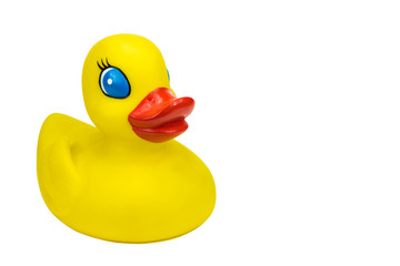 Yellow rubber duck isolated on white background.