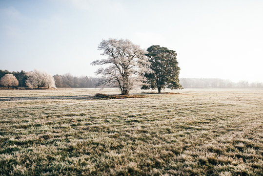 Land Brandenburg im Winter