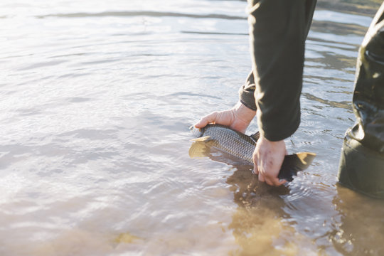 Man letting go to the fish