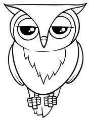 funny owl coloring page